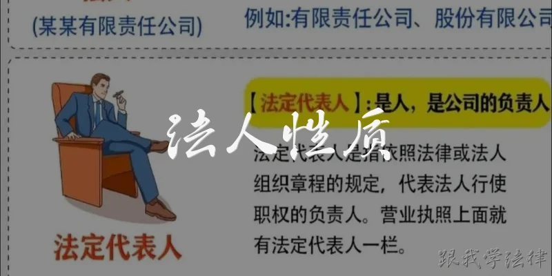 法人性质