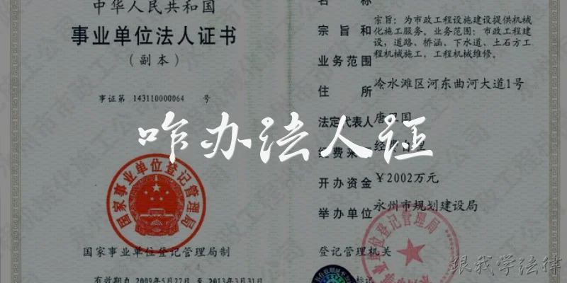 咋办法人证