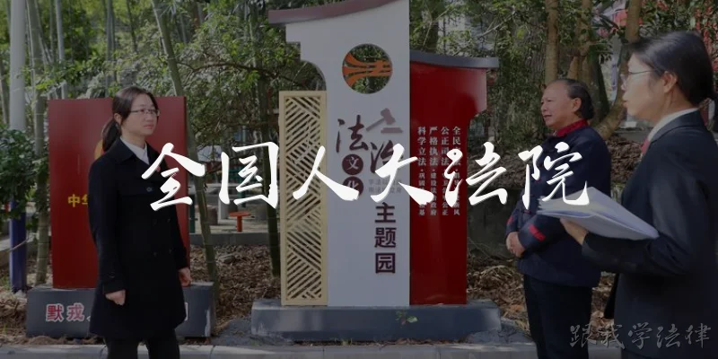 National People's Congress Courts